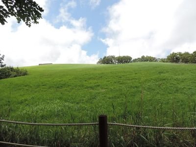 es0224es's profile picture. 