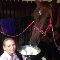 kasey keys (@kmkeys) 's Twitter Profile