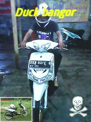 taraguna motor