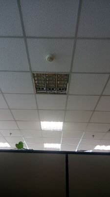 appiot2013's profile picture. 