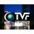 Tvf Transnews