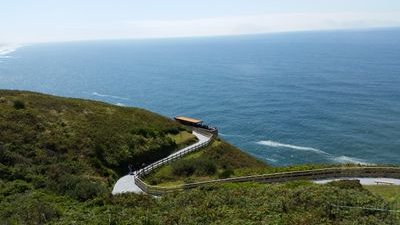 zaidestroys's profile picture. ... um.... hi?