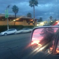 Tamryn Storm Hawker (@tamrynstorm) 's Twitter Profile