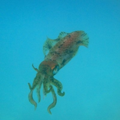 je partage pour vous des photos ou graphiques de X ...parfois un petit commentaire…ni juge ni partie..reflets de notre époque..