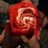 dann__adam's profile image