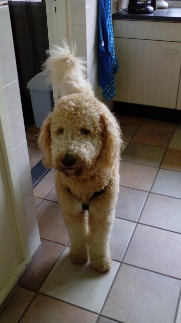 plukkie12's profile picture. 