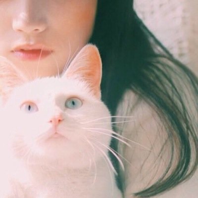 ゆめ乙女さんのプロフィール画像