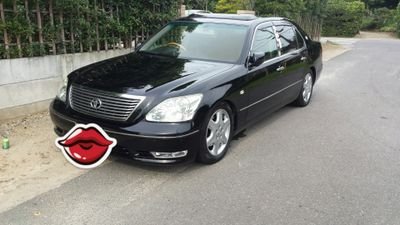 shoki_jp's profile picture. 