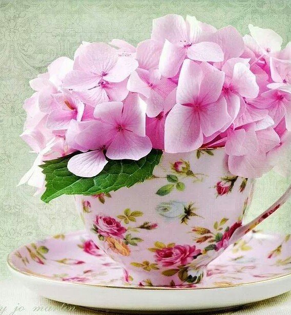 ZakiKouadri's profile picture. 