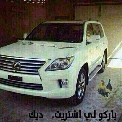 ‏حياتي كلها لك