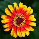 Roxanne Denton - @RoxxyDton - Twitter