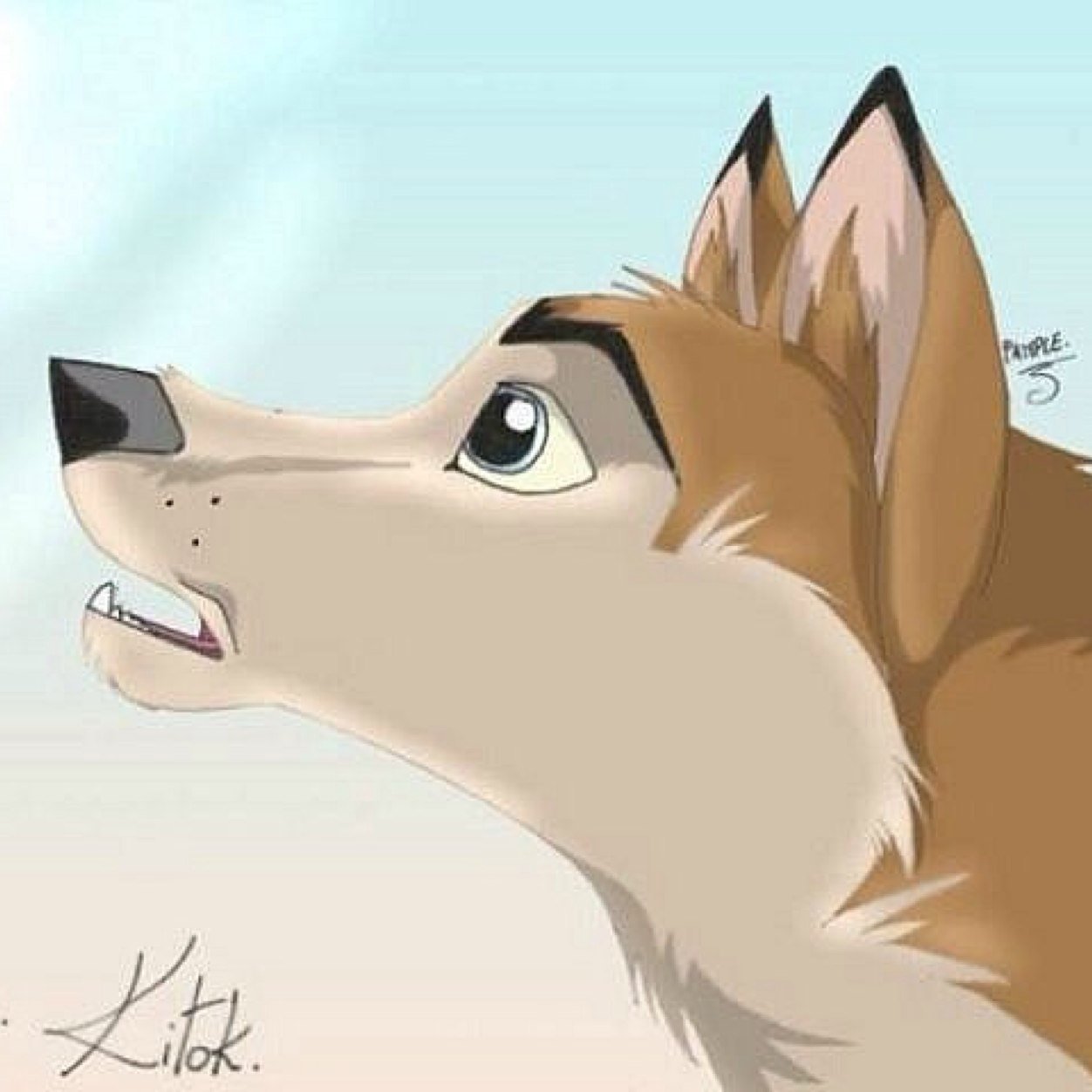 Pure bred husky, father of Balto and Nitti and husband of beautiful Aniu. Waiting to find my family again...
