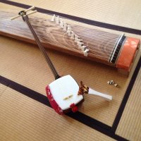 えんどぅーの箏垢 (@erfkoto) Twitter profile photo