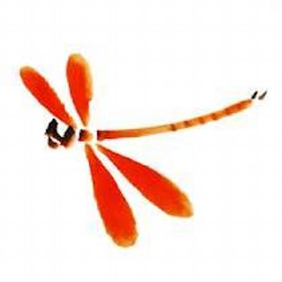 赤とんぼ Red Dragon Fly9 Twitter