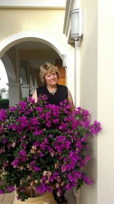 2a298ba27b524eb's profile picture. wombourne