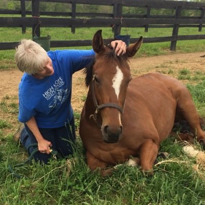 bgwellness's profile picture. In 2001, I started my own business, Bluegrass Wellness. I now work exclusively with ASEA and dearly love listening to and helping people!
