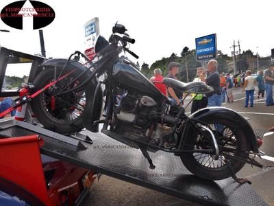 domilicani's profile picture. 