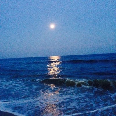 flowercookie123's profile picture. 