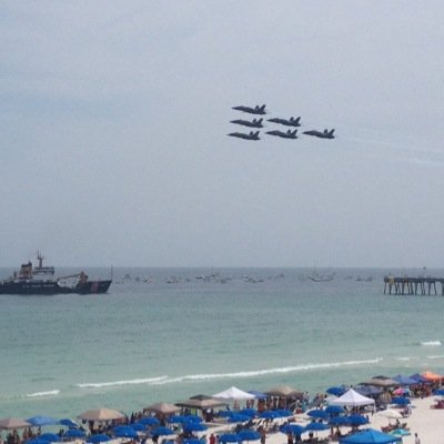 SheSelllstheSea's profile picture. 