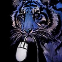 Smartbluecat (@thesmartbluecat) 's Twitter Profile