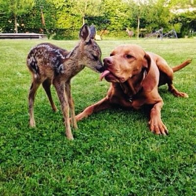 mvenezuela31's profile picture. 