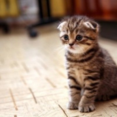 MichaelsGawtDis's profile picture. Im To Sexaii To Care. c: _Michael_