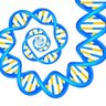GEN_ETIC's profile picture. Scientist interested in human genetics, genomics, biochemistry and health related areas.