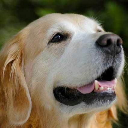 arima_numa's profile picture. 三次元沼