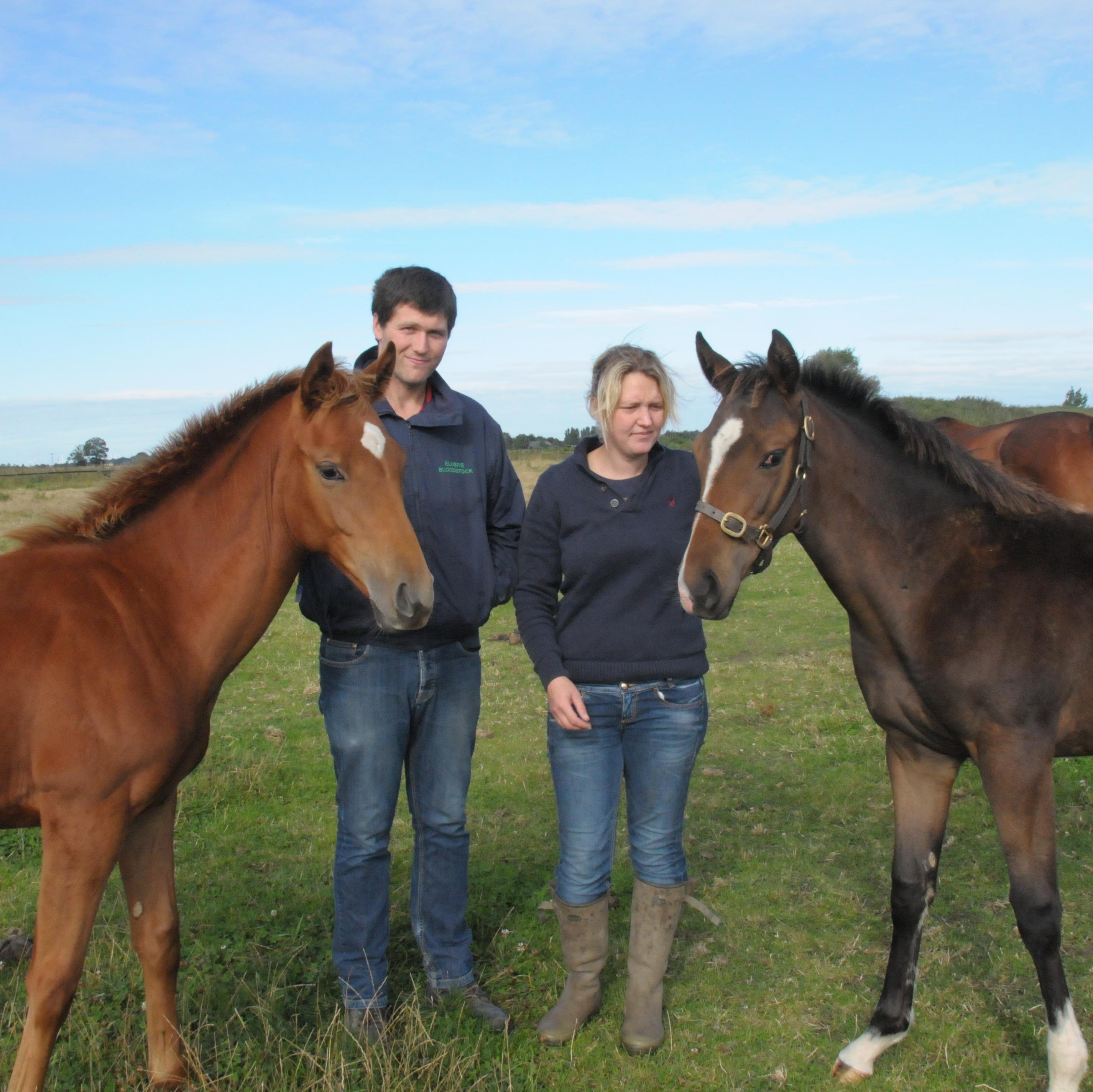 Flat and NH Stud run by James and Amelia Gray. Standing Linda’s Lad. Based in South Lincolnshire