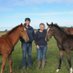 Elusive Bloodstock (@elusive_bld) Twitter profile photo