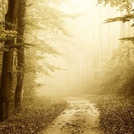 WalkbytheWay's profile picture. Walking in the light of His ways.