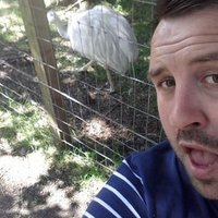 Liam Fleming (@liamfleming1984) 's Twitter Profile