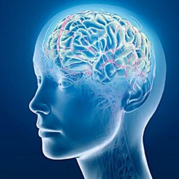 testimonios, ayudas, novedades. Todo referente a salud mental.  Para familiares de enfermos mentales, pacientes y trabajadores de la salud mental.