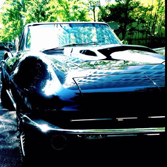 🚗車好き✈️旅行好き🌴