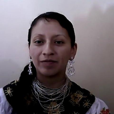 msgerenciamush1's profile picture. 