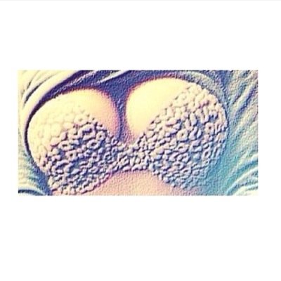 White_Cream_Pie's profile picture. #ShakeTheTree #TeamFollowBack