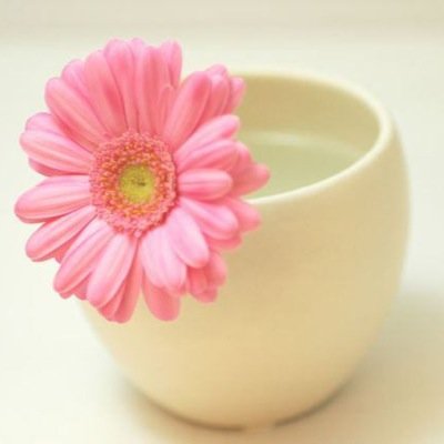 よろしくお願いします(*^^*)