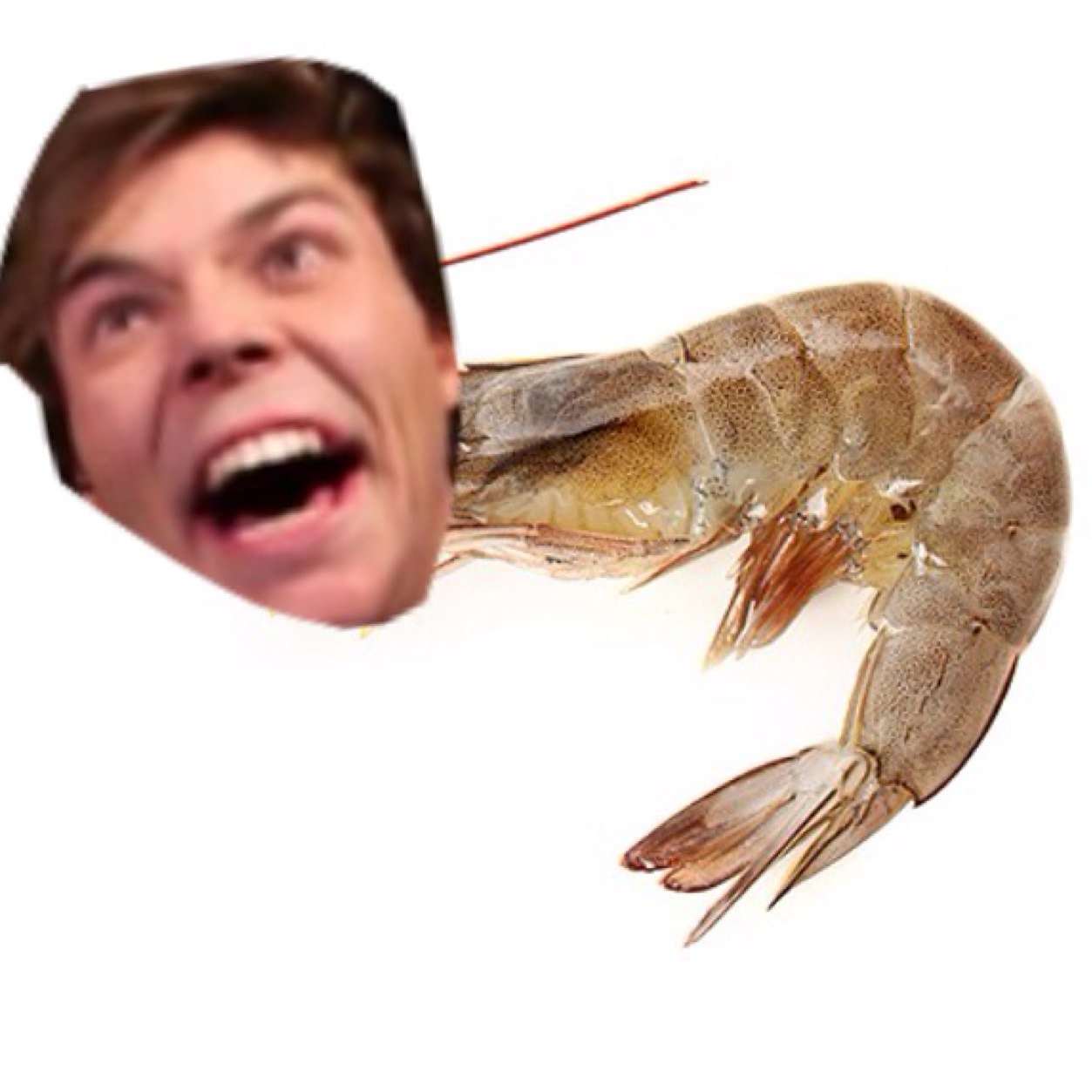 Follow @holidayirwin & @frapeeluke