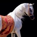 الشيخة (@22sososo22) Twitter