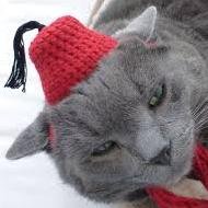 I am the leader of Fez Co.! A steam group for shenanigans. Have fun!