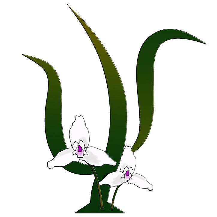 psycologos's profile picture. Somos un grupo de #psicólogos en constante formación dispuestos a dejar huella en la sociedad. Un gusto compartir con vosotros...