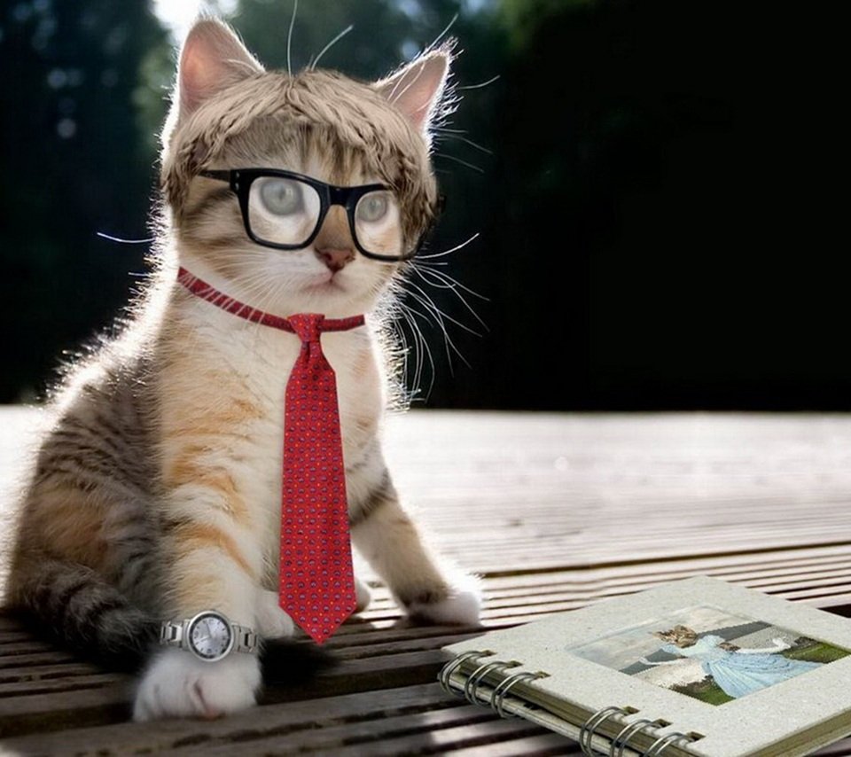 NotaUntukKawan's profile picture. Don't cry over the past, it's gone. Don't stress about the future, it hasn't arrived. Live in the present and make it beautiful.