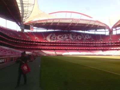 en el campo del benfica adonde el real madrid gano la champions Hala madrid