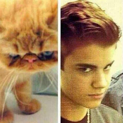 if you come here if you want to learn the news about the Tuts. hahahah lol @justinbieber and @tutsbieberr my bro. Download @shots
I LOVE YOU