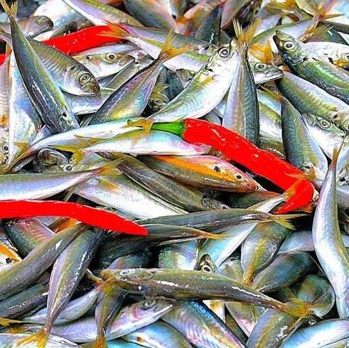 Direttamente dal #produttore al #consumatore, #pesce #biologico freschissimo direttamente sulla tua tavola in 24/48 ore