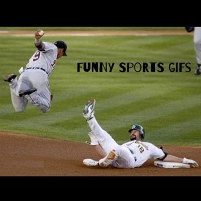 funny sports gifs wittysportsgifs tweets 3 followers 12 more unmute ...