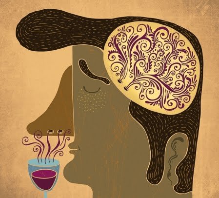 bajoelalmas's profile picture. En Bajo el Alma Sommelier nuestra misión es revalorizar los sentidos.
