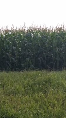 Farmer with 3 sons full time farming and 1 daughter agrologist.  South central sask. Custom Farming,Custom Trucking, machine shop, and machinery repair