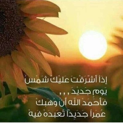 تارك لكم هذه السخافات
