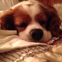 Jonathan Pyle - @jtpyle - Twitter